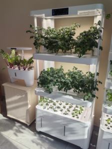 Système de culture intelligent d'<span class=keywords><strong>intérieur</strong></span>, système de culture hydroponique, pot de fleurs, kit de jardinage à domicile, éclairage <span class=keywords><strong>LED</strong></span> pour plantes, jardinières avec capteur - Product Image 2