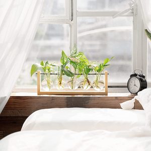 Desktop Air fioriera lampadina vaso di vetro pianta propagazione terrario casa giardino classico - Product Image 5
