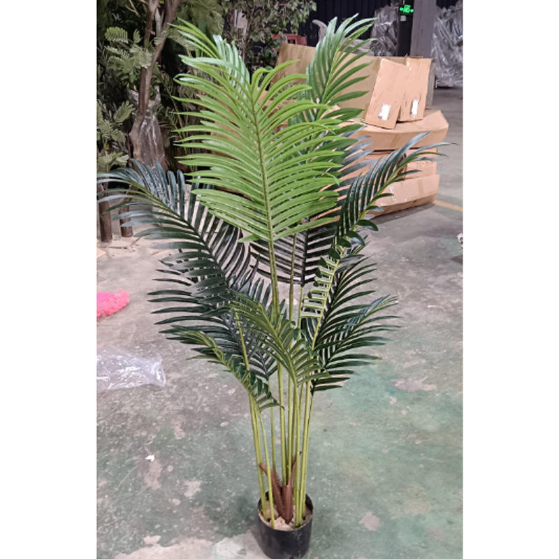 Scabiosa cryptée 120cm vert-12 feuilles-pot plastique noir