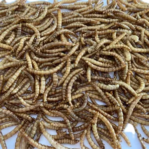 good price high protein cheapest insect food dry mealworm meal for fish bird crawler animals