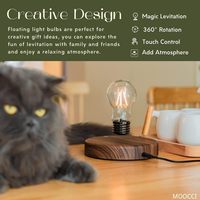 Lámpara de Escritorio Magnética Levitante con Bombilla, Luz Nocturna Giratoria Automática de 360°, Resina y Madera, Regalo Único, Decoración para el Hogar y la Oficina