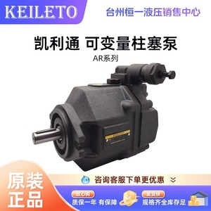 ปั๊มไฮดรอลิก Kailiton Ar Series Piston Pump รุ่น Ar1622 Fr01c B S 22 20 - Product Image 5