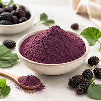 Groothandel Hoge kwaliteit Zwarte Moerbeipoeder Gefreeze-droogd Fruit Ingrediënt OEM ODM Private Label Bulk Fabriek Leverancier