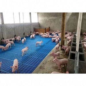 ลังขุนหมูทนทานอุปกรณ์ในฟาร์มเลี้ยงหมูใหม่สะอาดและถูกสุขอนามัยออกแบบได้ตามที่ต้องการ - Product Image 2