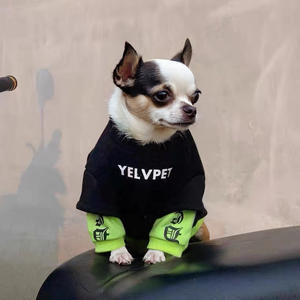 Sudadera Especial de Invierno para Perros Pequeños, Miniatura <span class=keywords><strong>Doberman</strong></span> Deerhound, Otoño Invierno, <span class=keywords><strong>Ropa</strong></span> para Mascotas de Algodón con Forro Polar para Chihuahua - Product Image 4