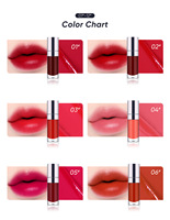 Teinte à lèvres mate 12 couleurs, gloss 24H, non-collant, sans transfert de couleur, étiquette privée, imperméable, longue tenue