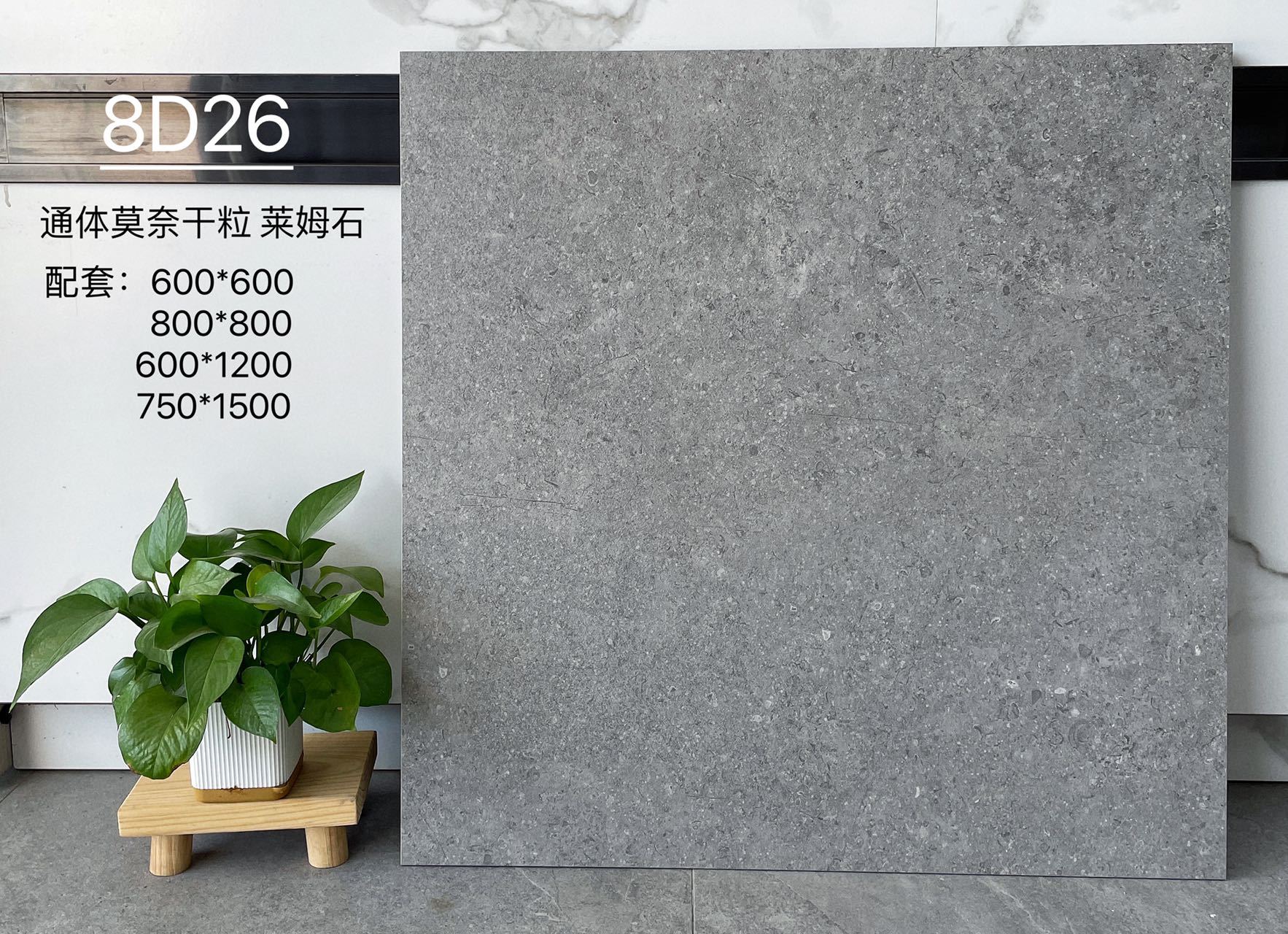 LJ2501012-3