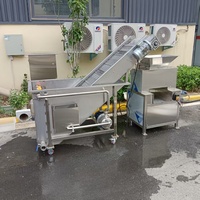 Apparatuur voor sapbereiding, calamansi-sapcentrifuge, extractie van limoenen, automatische sinaasappelpers, industriële citruspers