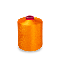 Fil de polyester Vente chaude Fil de filament DTY 100% Fil de polyester 300D/96F NIM