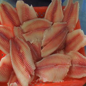Buena calidad de fresco pescado congelado de filete de Tilapia proveedor - Product Image 2