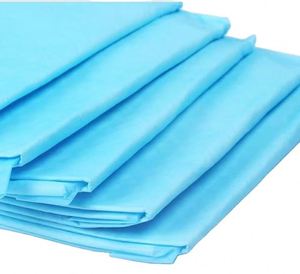 Tapis d'apprentissage de la propreté jetables brodés en tissu non tissé pour chiens et chats, pratiques pour les voyages, protège-matelas et protection domestique pour l'entraînement des chiens - Product Image 2