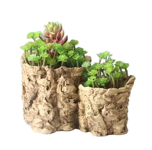 Harga Pasar Grosir Pot Bunga Keramik Desktop Akar Pohon Simulasi Dalam Ruangan