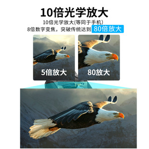 SUNCORE Night Vision Binoculars 32mm Infrared Digital Outdoor Tactical 1000m Low Light Full Color NV3280 - Product Image 3