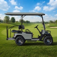 Voiturette de golf électrique tout-terrain haute puissance 3-4 places avec sièges réglables, batterie au lithium 48V/60V/72V, frein à disque avant/frein à tambour arrière