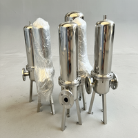 Carcasa de Filtro de Cartucho PLC de Alta Precisión de Acero Inoxidable Sanitario 304/316L, Bomba de 1000L/H para Tratamiento de Agua, Bebidas y Alimentos Líquidos