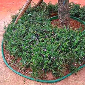 Borde de Jardín Flexible de Plástico Sunsbuild, Hecho de Material PE, para Césped y Piedras, Diseño de Jardín - Product Image 6