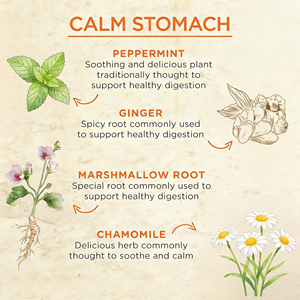 Té Herbal de Jengibre y Durazno, Calma el Estómago, Bienestar Digestivo, Orgánico Premium, Sin Cafeína, con 20 Bolsitas de Té Biodegradables de Fibra de Maíz - Product Image 2