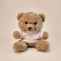 Porte-clés ours en peluche personnalisé de 10 cm avec logo sur t-shirt, breloque de sac en peluche, cadeau promotionnel pour sacs à dos et faveurs de fête, faible MOQ