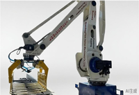 Machine d'emballage robotisée de palettisation automatique électrique pour sacs en papier/cartons/boîtes/caisses, vente chaude, haute précision