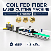 Machine de découpe laser à fibre à bobine non enroulée avec déroulage automatique pour le traitement des bobines d'acier au carbone fin et d'acier inoxydable