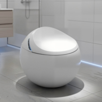 Nouvelle Conception de Toilette Intelligente, Bidet Électrique, Cuvette de WC en Céramique en Forme d'Œuf, Toilette Intelligente Automatique pour Salle de Bain