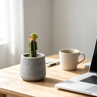 Mini pot en béton mat conique pour bureau, décoration de cactus et de succulentes, logo personnalisé, vente en gros