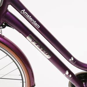 Vélo Cargo électrique de Style hollandais pour femmes 700x40c avec porte-bagages avant et arrière - Product Image 5