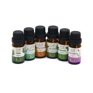 100% Pure Organic Natural Essential Oil Aromatherapy Diffuser Skin Care Body Care Massage Essential Oil in Bulk