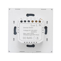 Interrupteur à intensité variable double pôle AC 220V pour Zigbee, compatible avec Alexa et Google Home
