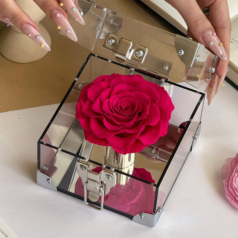 กุหลาบแดง