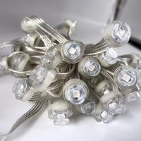 Mini Módulo LED RGB Pixel, Luces Puntuales de 12V 20mm IP68 PC GS8208, Iluminación para Fachadas de Edificios y Paisajes Exteriores con Accesorios de Puntos