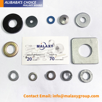 MALAXY OEM China Manufacturer Metal Plain Washer Din125 Flat Lock Washer For Bolts