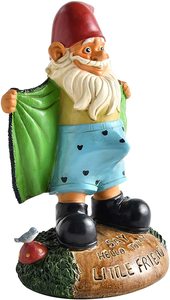 Polyresin/Resina Pervertito Giardino Gnome Figure: Gnome Lampeggia biglietto di Auguri - Product Image 4