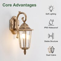 Applique murale LED sculptée de style européen vintage, résistante à la rouille, étanche, bicolore, avec verre prismatique transparent, pour commande en gros