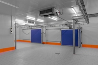 Chambre froide conteneurisée de grande taille à haute efficacité avec compresseur, pour la conservation à basse température des fruits de mer et des aliments surgelés