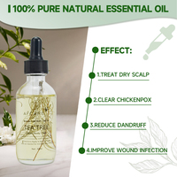 Minyak Esensial Tea Tree AFCARE Minyak Tea Tree Alami untuk Diffuser Perawatan Kulit Wajah Perawatan Rambut Kulit Kepala dan Pijat Tubuh dengan Pipet
