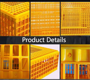 Cage à poulets en plastique jaune, nouvelle, grande, en plastique, pour le <span class=keywords><strong>transport</strong></span> <span class=keywords><strong>de</strong></span> volailles, <span class=keywords><strong>caisse</strong></span> <span class=keywords><strong>de</strong></span> <span class=keywords><strong>transport</strong></span> pour <span class=keywords><strong>canard</strong></span>, oie, lapin, boîte <span class=keywords><strong>de</strong></span> reproduction, matériel - Product Image 3