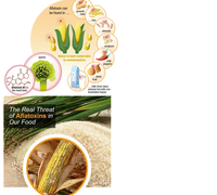 Kit de test rapide Aflatoxine B1 M1 Or Colloïdal 5ppb Sensibilité Détection des produits alimentaires et des céréales - 10 tests/flacon