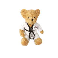 Ours en peluche personnalisé Taekwondo & Karaté, cadeau pour événement d'arts martiaux avec logo personnalisé