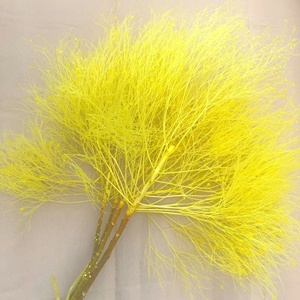 Hierba de Ensueño Preservada, Hierba Seca, 2-3 Piezas/Paquete, ETERNAL, 65-70 cm, Larga Duración, 3-5 Años, Ramo Natural para Manualidades, Centro de Mesa para Bodas - Product Image 2