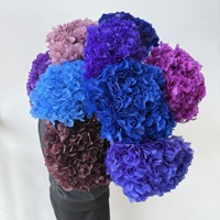 Bunga Segar Awet Hydrangea Daun Besar Tunggal Hiasan Domestik Hydrangea Bunga Kering Buket Multi-Warna Grosir