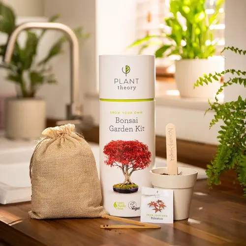 Kit de plantación de plantas de interior al por mayor, maceta creativa, caja de regalo de cumpleaños para niños, juego de herramientas para bonsái para principiantes