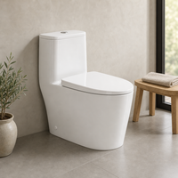 Pemasangan Toilet Pan Kedua Setelah Lantai Terpasang dan Garis Dasar Tersegel Proyek Hotel