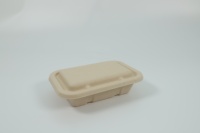Assiettes carrées jetables écologiques en bagasse de 6 à 10 pouces avec couvercles pour mariage, fête, traiteur, ensemble de vaisselle