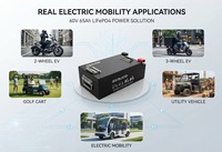Paket Baterai Lithium LiFePO4 60V 65Ah Kapasitas Tinggi Daya Tahan Lama untuk Kendaraan Listrik, Golf Cart, Kendaraan Utilitas OEM ODM