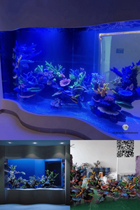 Decoratief Koraalrif Koraal Decoratief Koraal Te Koop - Product Image 4