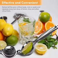 Grote handmatige aluminium citruspers voor fruit & groenten
