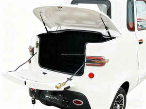 Corps de fer de tricycle électrique à trois places certifié ELN-YU3 CEE COC avec coffre - Product Image 3