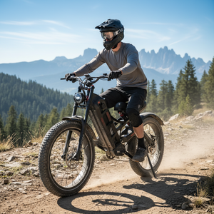 26inch Electric Bike 48V 60Ah Steel <b>Frame</b> Fatbike Lithium Battery LCD Rear Hub Motor 26 Inch 7 Speed electric bicycle - Product Image 1