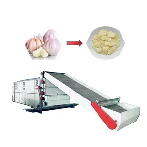 mesh belt tunnel dryer garlic dryer garlic drying machine garlic powder processing machines